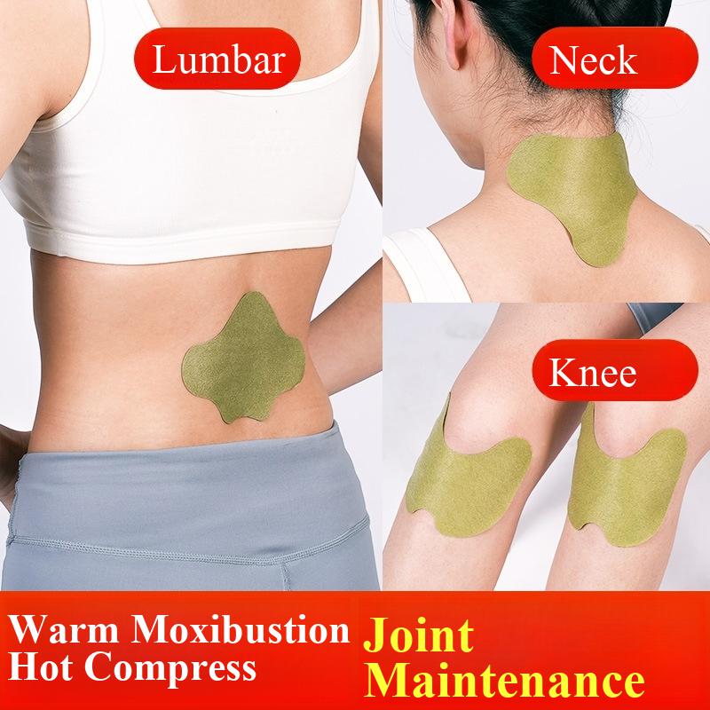 100pcs Wormwood Lumbar Patches - Yoga Health & Fitness Center recensie en prijs