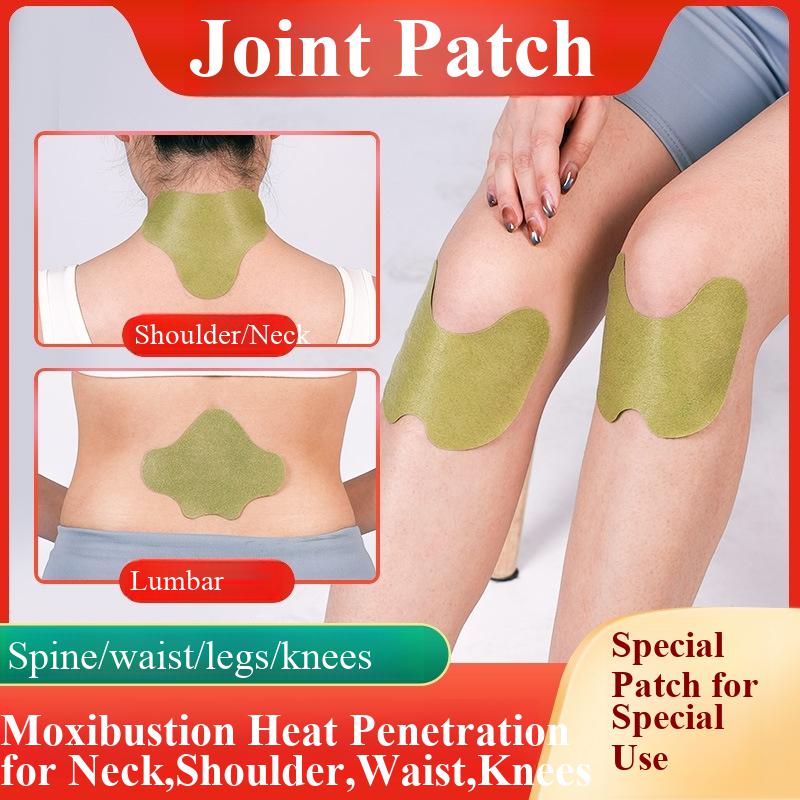 100pcs Wormwood Lumbar Patches - Yoga Health & Fitness Center recensie en prijs