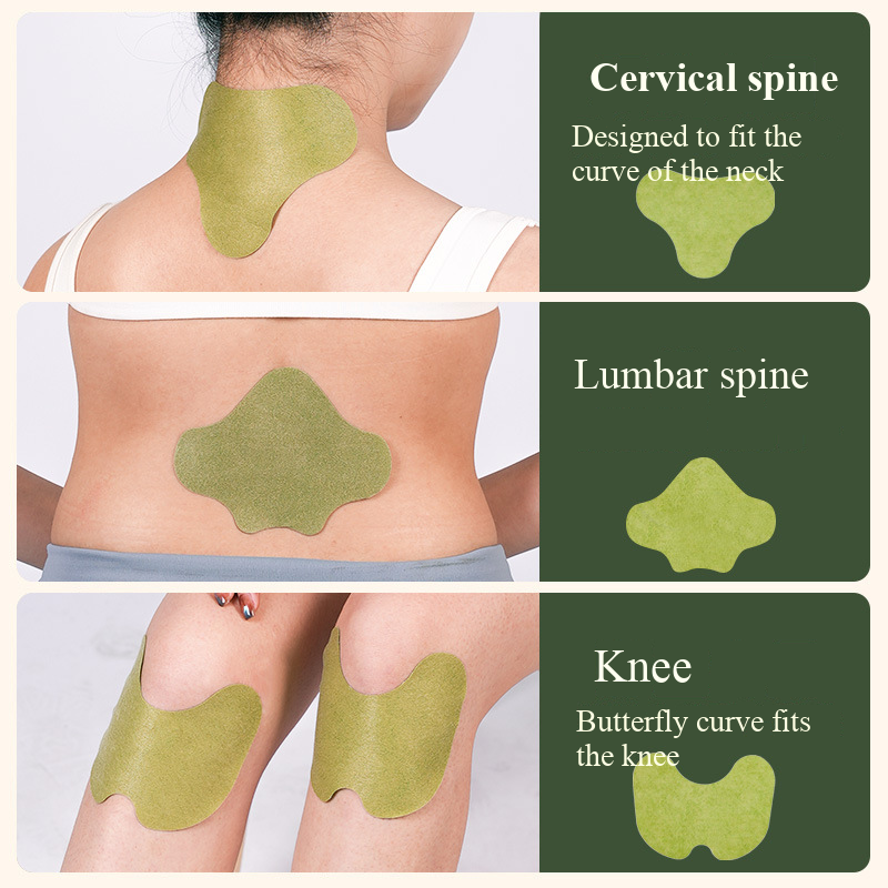 100pcs Wormwood Lumbar Patches - Yoga Health & Fitness Center recensie en prijs