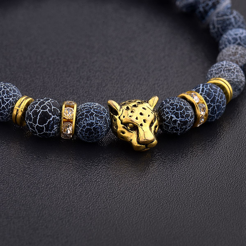Vintage Charm Alloy Leopard He - Yoga Health & Fitness Center recensie en prijs